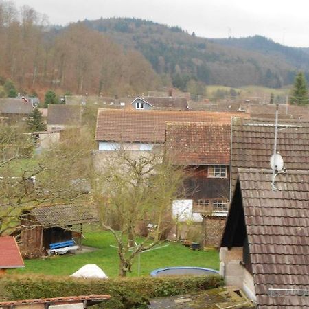 Apartment Schwendemann Lahr  Dış mekan fotoğraf