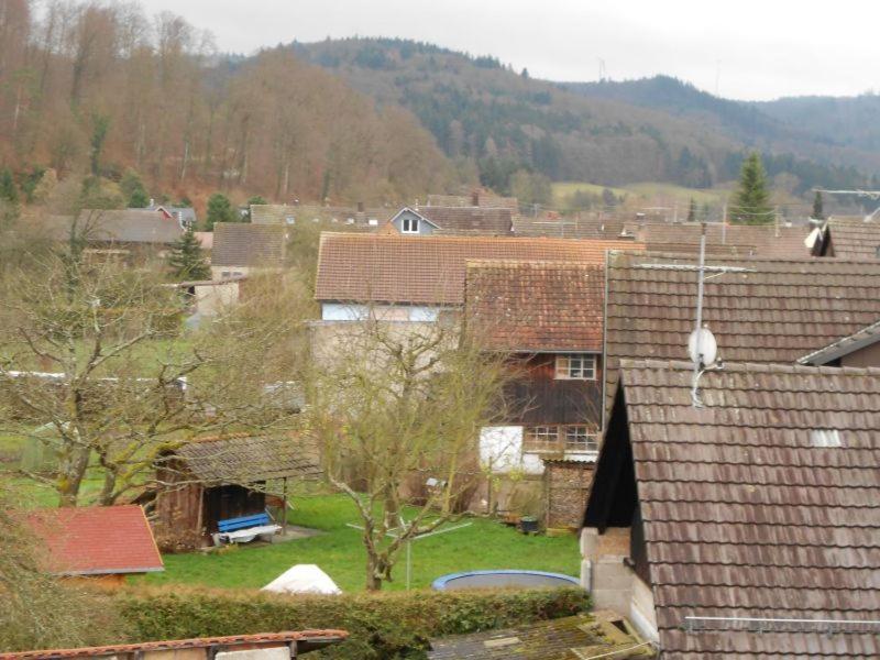 Apartment Schwendemann Lahr  Dış mekan fotoğraf